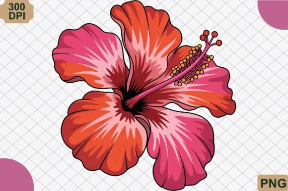 Download Hibiscus Flower, Summer PNG - Png Collection